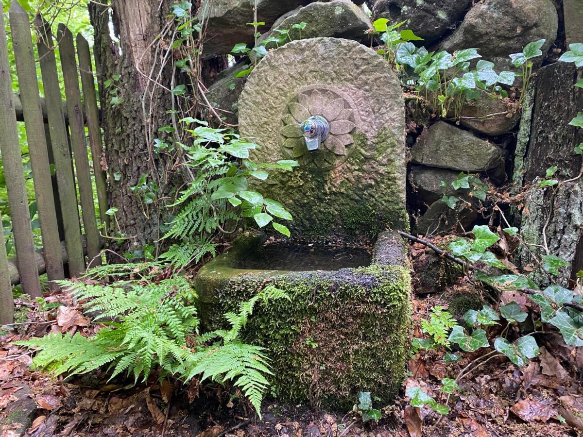 Ubytovani Na Cechach ジェチーン エクステリア 写真